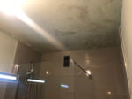 TEGIRA, entreprise de peinture Paris 13, dégât des eaux